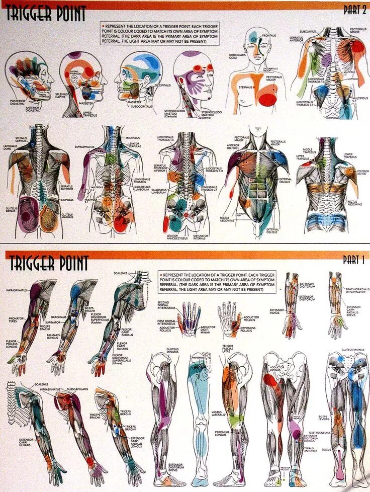 Trigger for each row