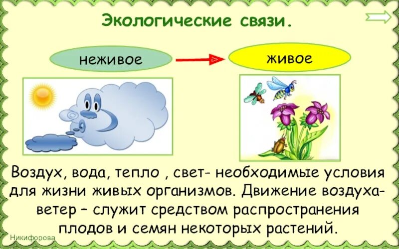 Проект живое неживое. Условия необходимые для жизни растений (свет, тепло, воздух, вода). Живое неживое воздух вода тепло. Схема живой и неживой природы. Связь живой и неживой природы.