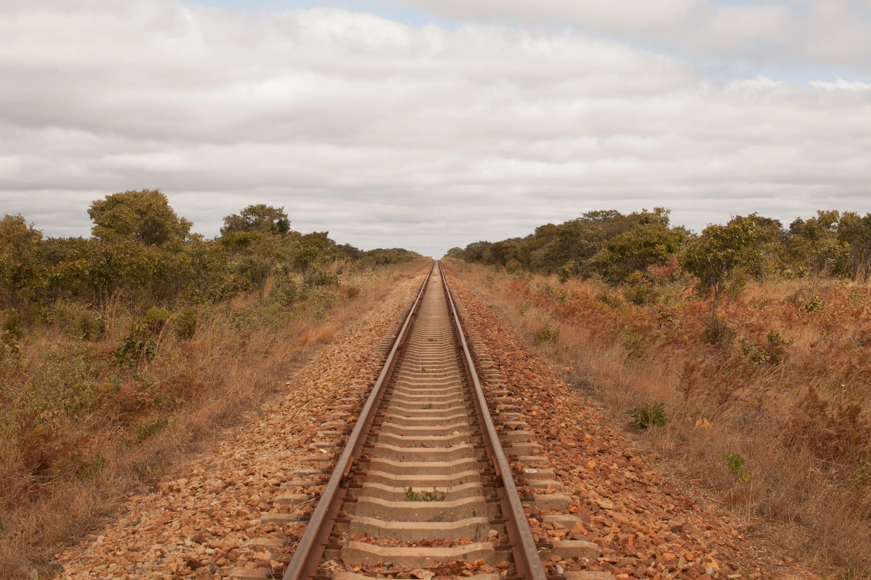 Железные дороги африки. Железная дорога Зимбабве. Железная дорога в Африке. Рельсы Африка. Железнодорожные пути Африки.