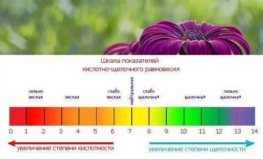 Кислотность щелочность волоса шкала. РН показатель кислотности. Кислотно щелочная шкала PH. РН кислотность шкала. Кислотность кожи