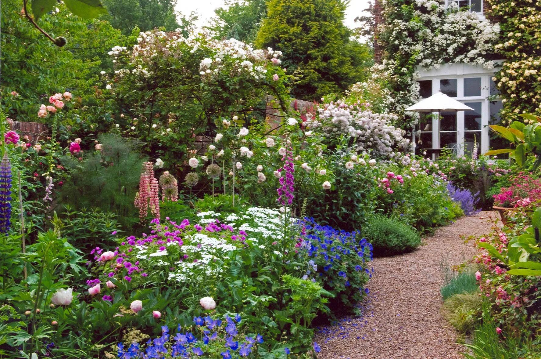 малоуходные цветники. миксбордер в огородном стиле. малоуходный миксбордер. мшанка шиловидная. сирень мейера палибин миксбордер.