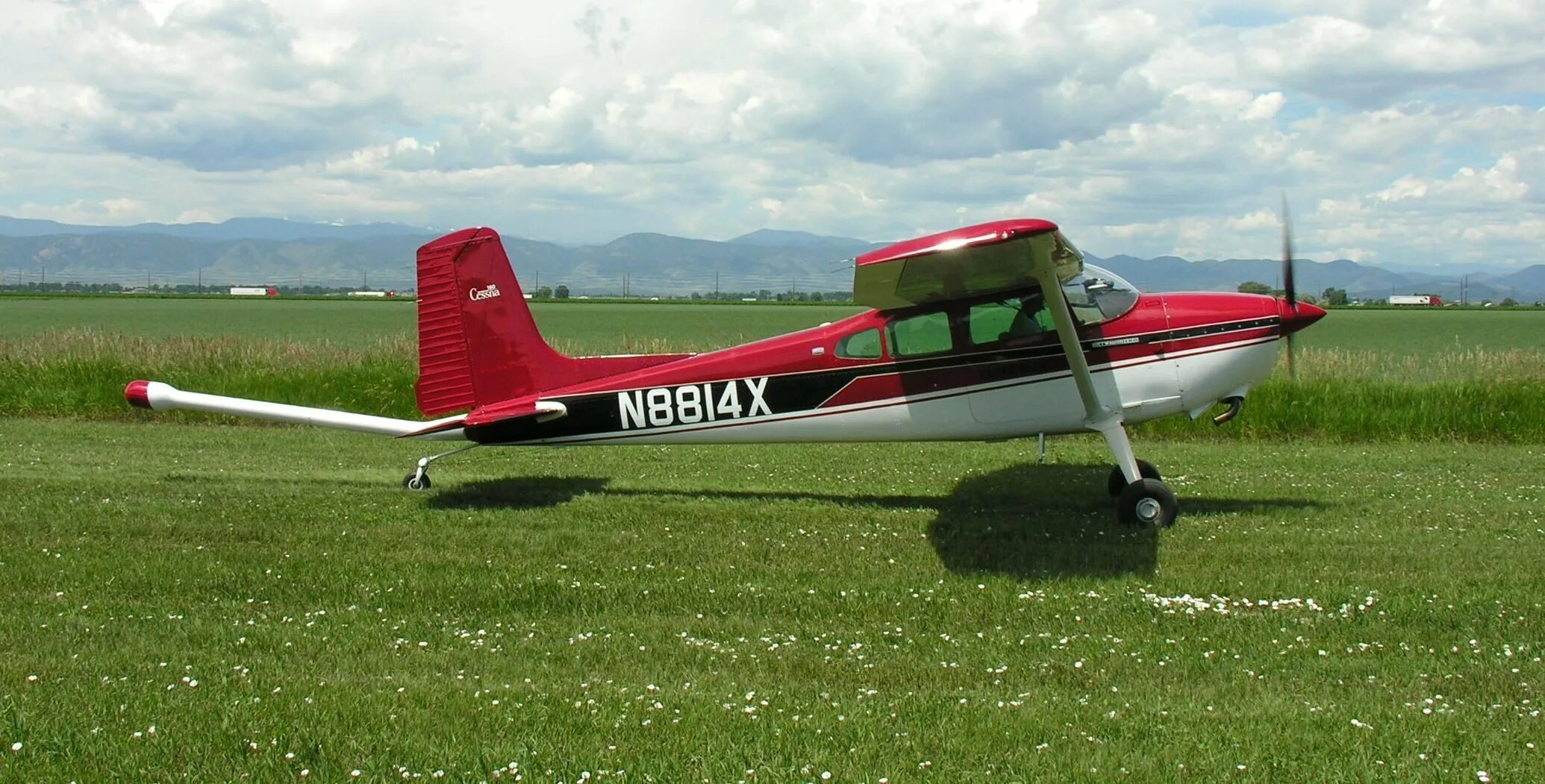 Cessna 182 салон. Цесна самолет. Cessna 172 Magnetic Survey. Самолет гольф. Самолет wings купить