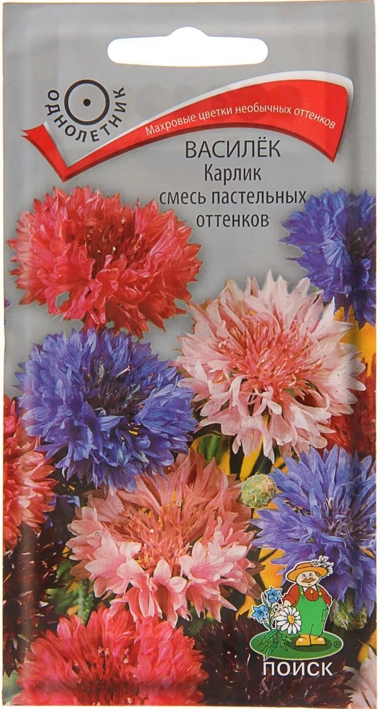 Васильки смесь. Василек карлик смесь пастельных оттенков. Василек карлик смесь окрасок. Василек Блэк бол (махровый). Василек смесь пастельных оттенков 0,3г ц/п уу низк.