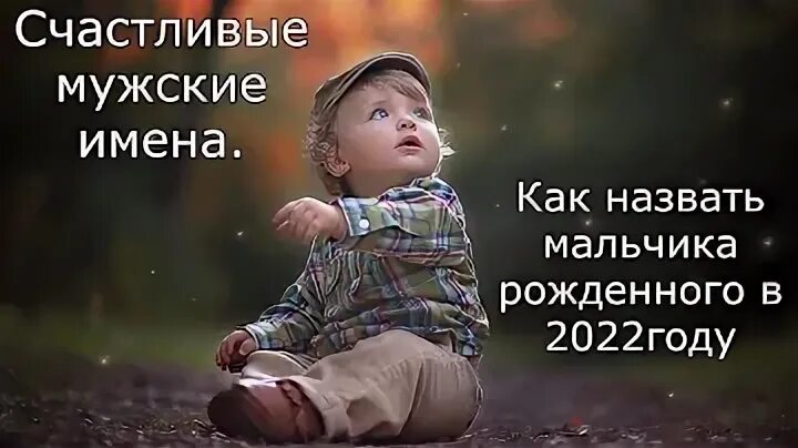 06. Школьные каникулы 2021-2022. Новорожденные малыши в роддоме. 06. Китайский гороскоп животные по годам.