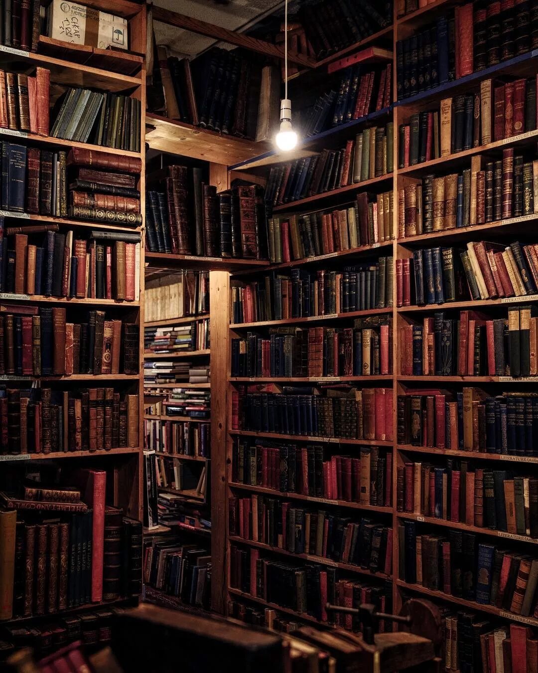 Библиотека без людей. Старинная библиотека. Темная библиотека. Библиотека в темных тонах. Библиотека фон.