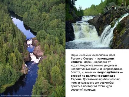 Заповедник в карелии 4 буквы