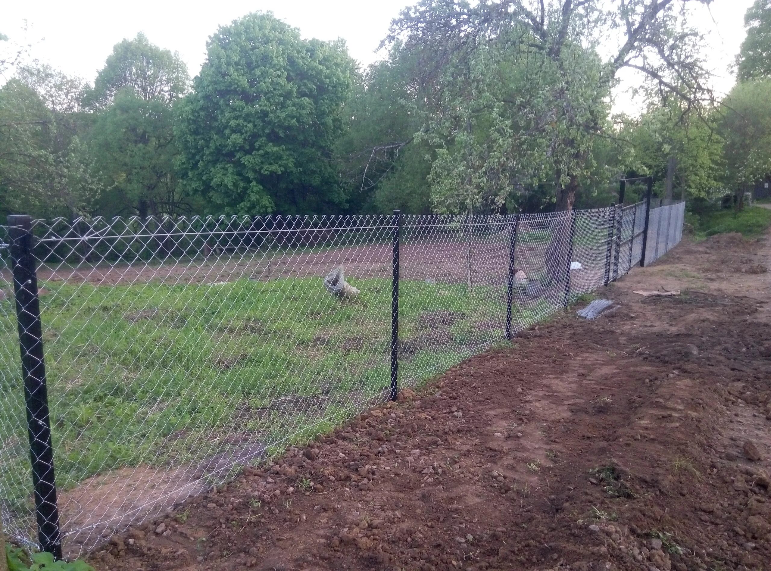 Пров. Метр сетки рабицы. Сетка металлическая рабица 1. Заборная сетка 40*40. Забор из сетки рябицев.