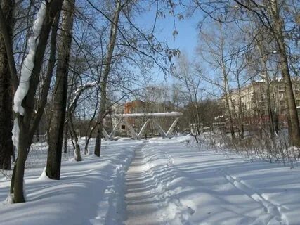 Одноклассники березников