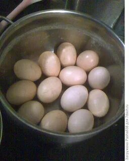 Как вытащить яйцо из курицы