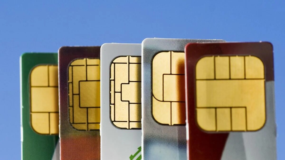 Sim card only. Sims 3 карта. баннер узкий люди sim-карты.