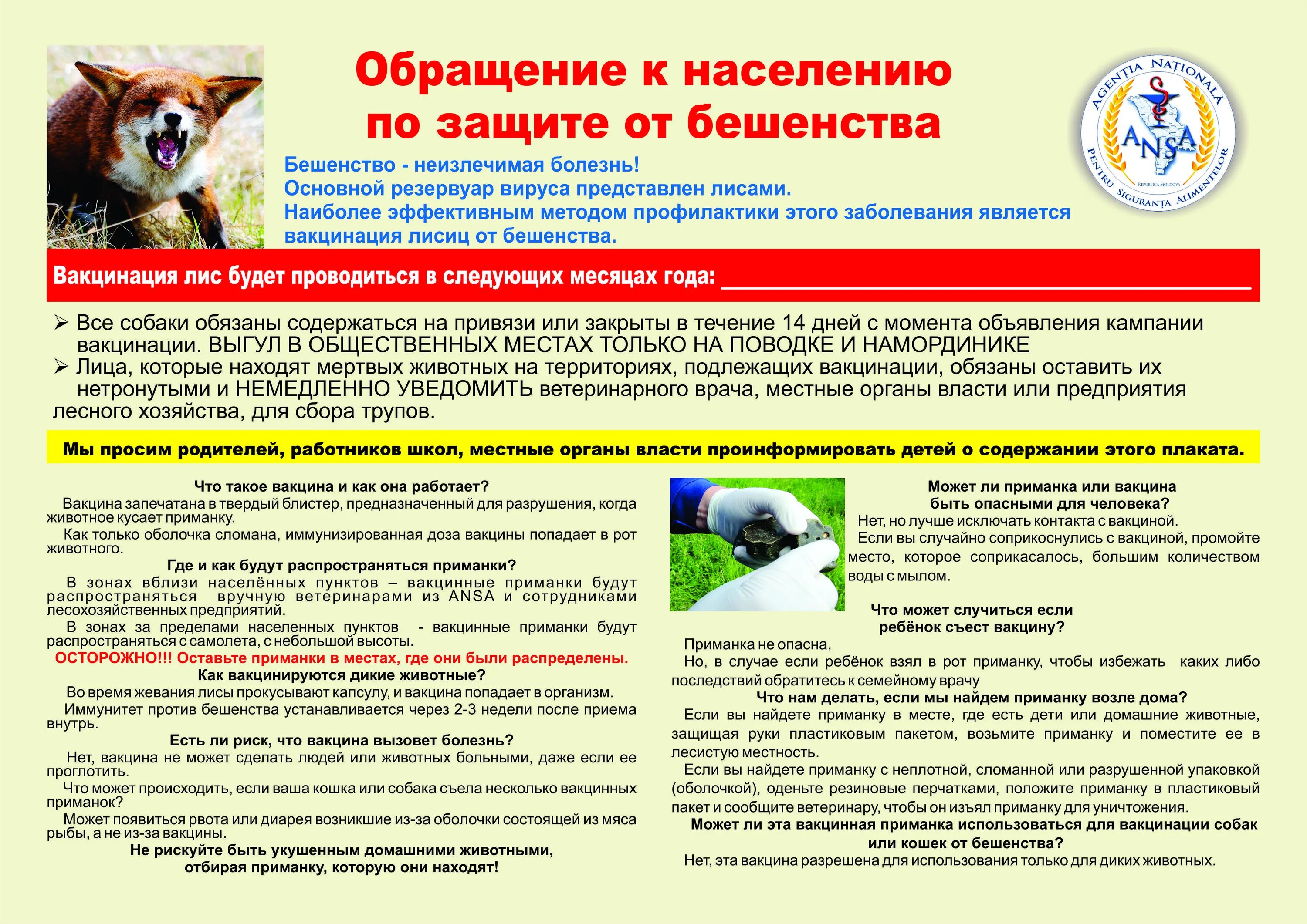 При укусе собаки какие делают