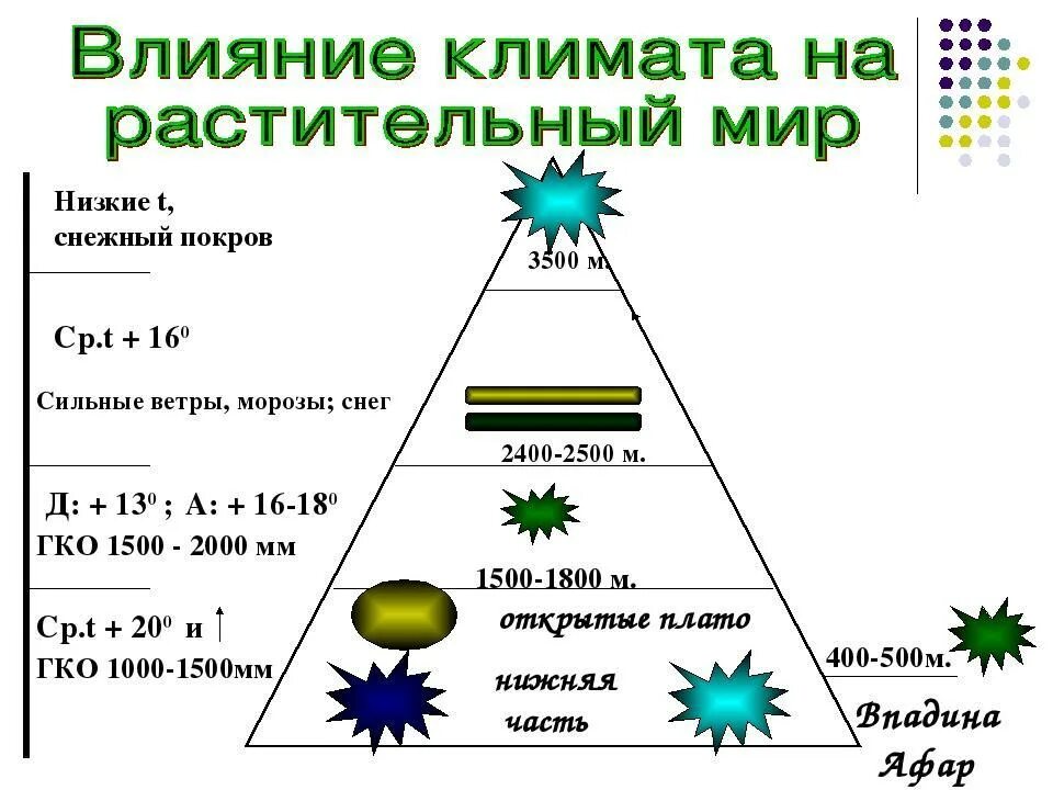 Влияние растительного покрова. Влияние растений на климат. Влияние климата на растительный мир. Влияние человека на климат. Как климат влияет на растительность.