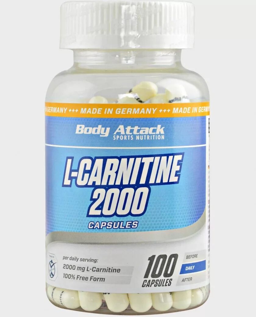 L carnitine lepidium