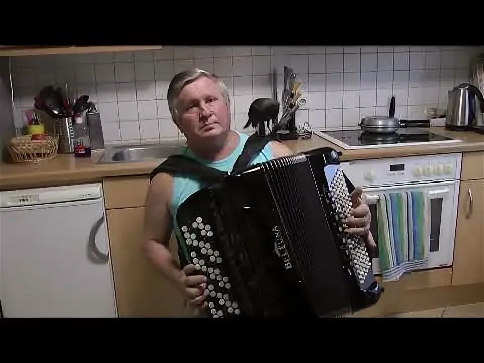 Ой, марічко, чичері. Ой маричко чичери слова. Песня ой чичери. Песня ой чичери. Ой маричко чичери.