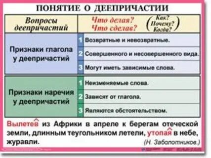 Функция деепричастия в предложении