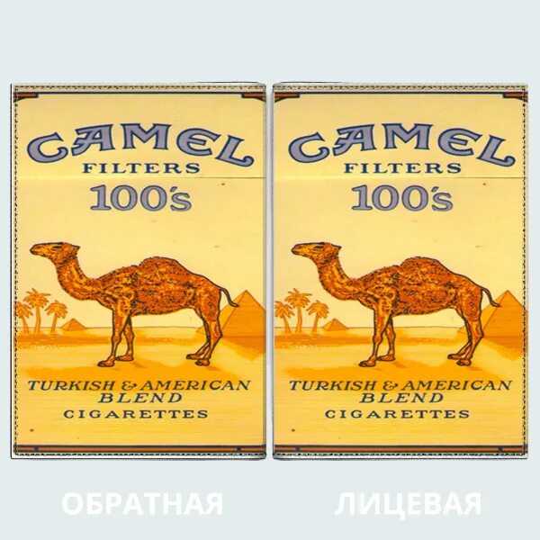 Сигареты Camel 100s. Сигареты Camel Compact 100. Camel 1913 пачка сигарет. Пачка сигарет кэмел желтый.