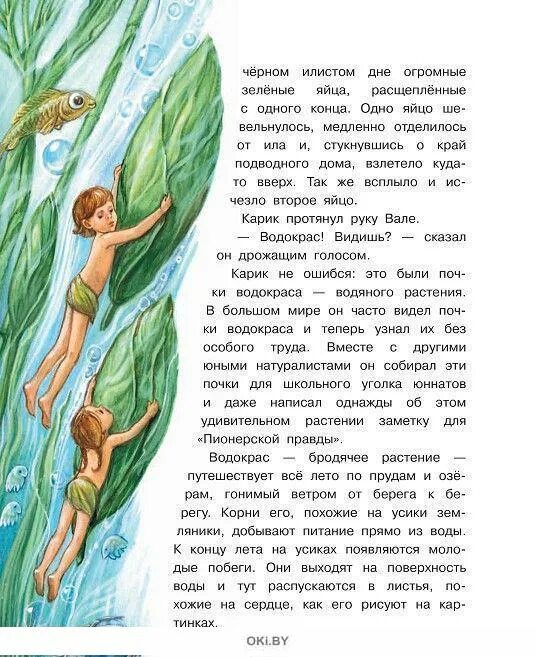 Приключение карика и вали краткое содержание. Приключения карика и вали книга. приключения карики а вари читательский дневник. приключения карика и вали советская книга.
