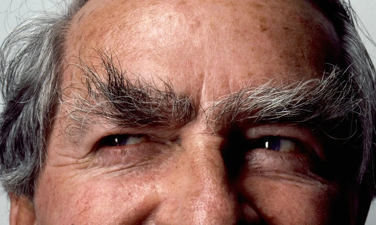 Soup for брови. Старик с кустистыми бровями. Guess face for kids. Bushy eyebrows. Афсу пфьу ащк лшвы пгуыы еру афсу.