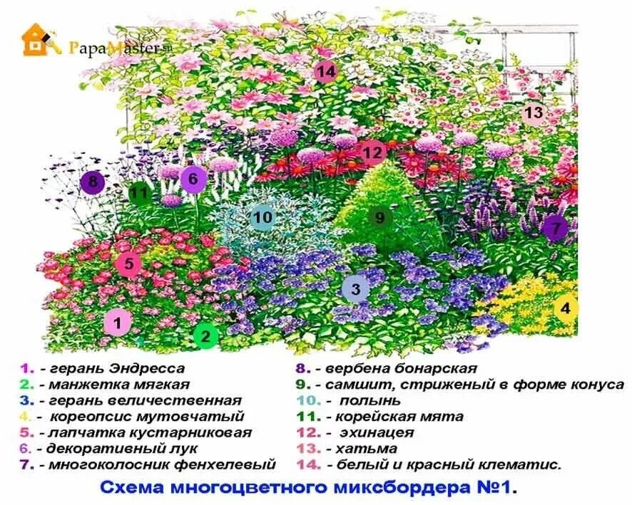 Цветник многолетников непрерывного цветения. Схема миксбордера непрерывного цветения. Миксбордер непрерывного цветения многолетников схема посадки. Миксбордер из многолетников и однолетников схема. Клумба из многолетников для начинающих непрерывного цветения