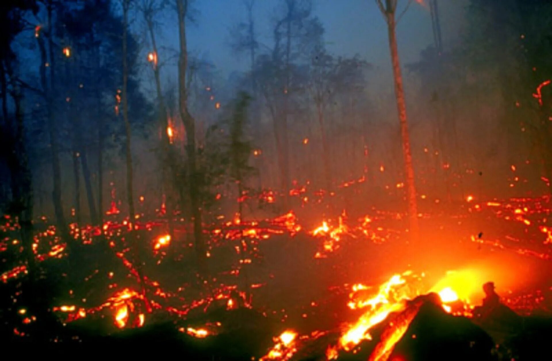 Подземный пожар и верховой. Лесной пожар Калимантан 1982. Лесные и торфяные пожары. Подземный торфяной пожар. Лесной пожар на острове Калимантан (1982 г.), Индонезия.