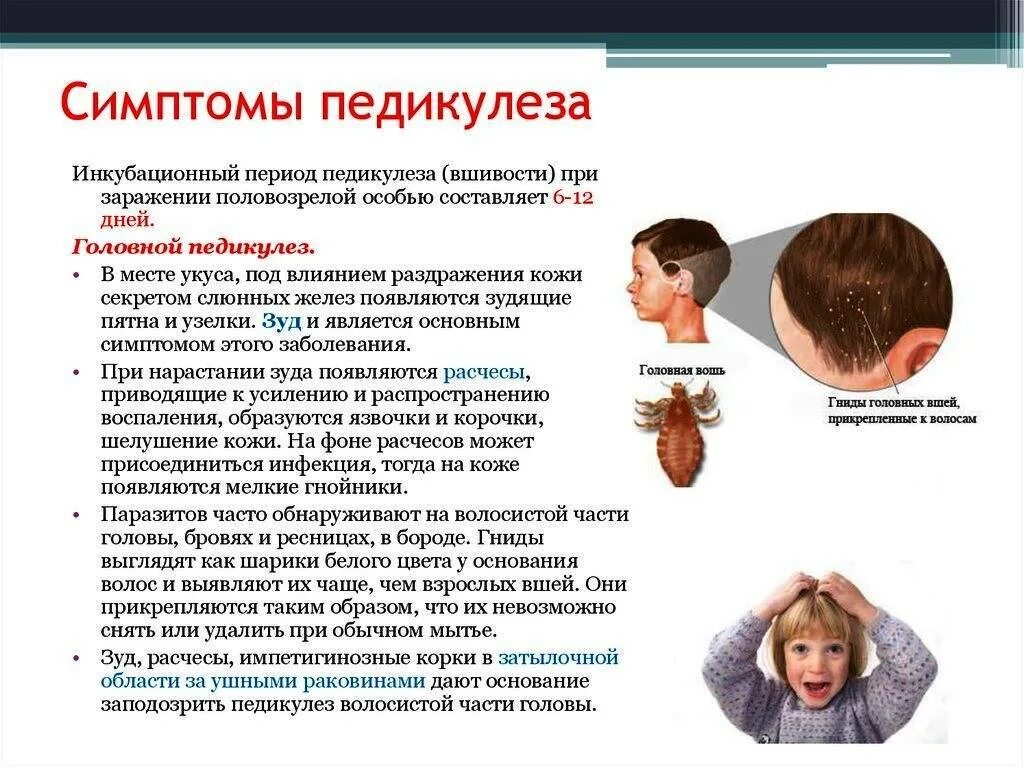 Головные инфекции