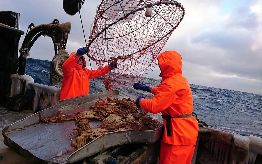 Рыбопромышленный комплекс дальнего Востока. Краболовы Охотское море. Монерон краболовы. Краболов Камчатка.