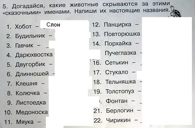 Угадайте картинку животных. Панда прикол. Енот. Какое животное какое. Какое животное скрывается.