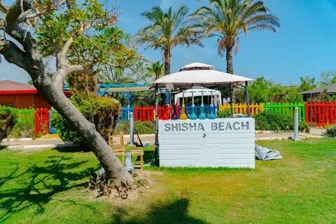 Clover magic garden beach отзывы