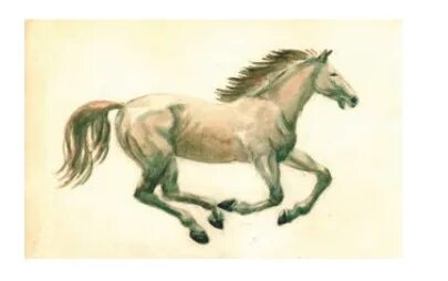 Жылқы үстіндегі жалаңаш суреттер