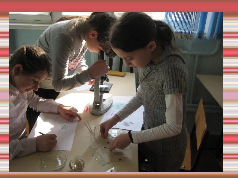 Лабораторные занятия по биологии. Урок биологии в школе. Урок биологии в школе. Школьники бурятии. Урок биологии.