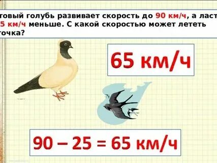 Скорость птицы голубя