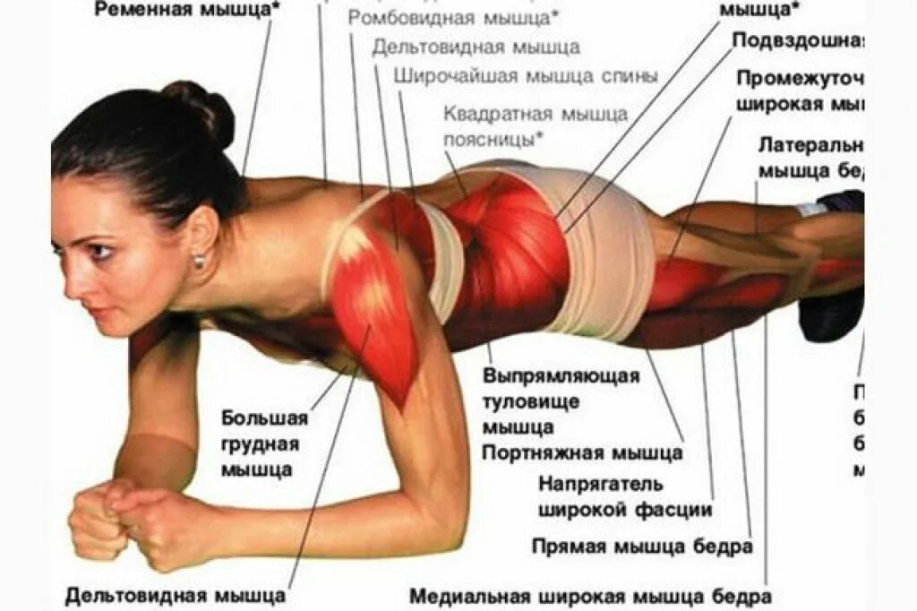 Что делать стоять что сделать