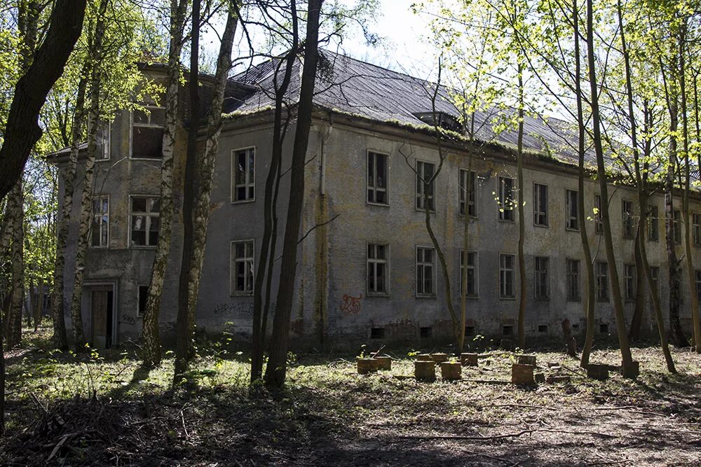 Витебск город городок. Лесной городок фотографии. Россь гродненская область. Г п городок. Гп россь беларусь.