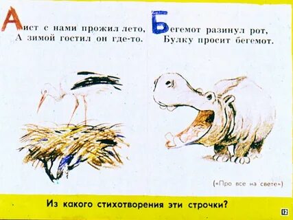 Бегемот разинул рот просит