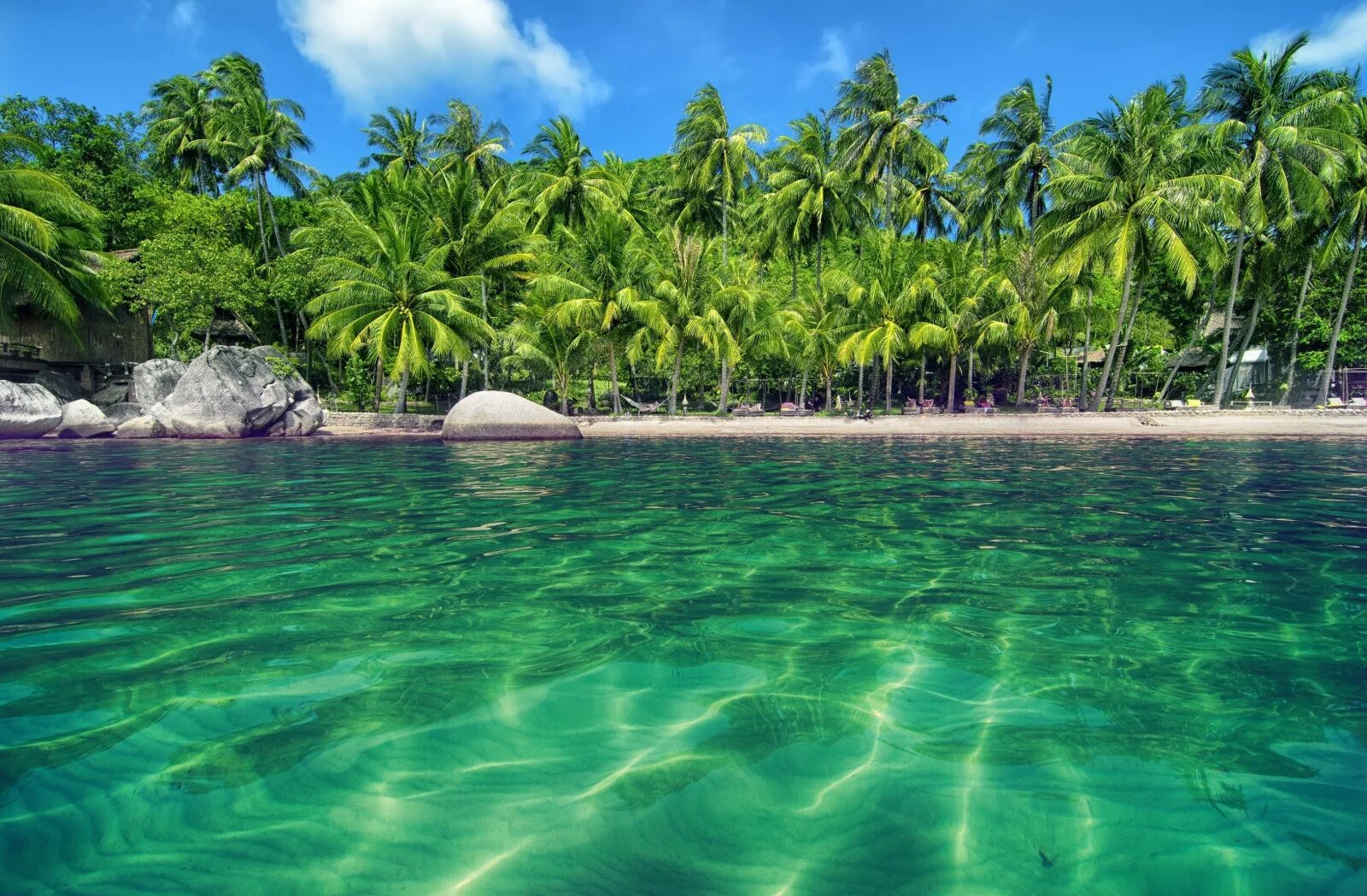 Парадиз остров Карибского моря. Голубая Лагуна Саона Доминикана. Тропики Океания Лагуна. Голубая Лагуна пляж пальмы.