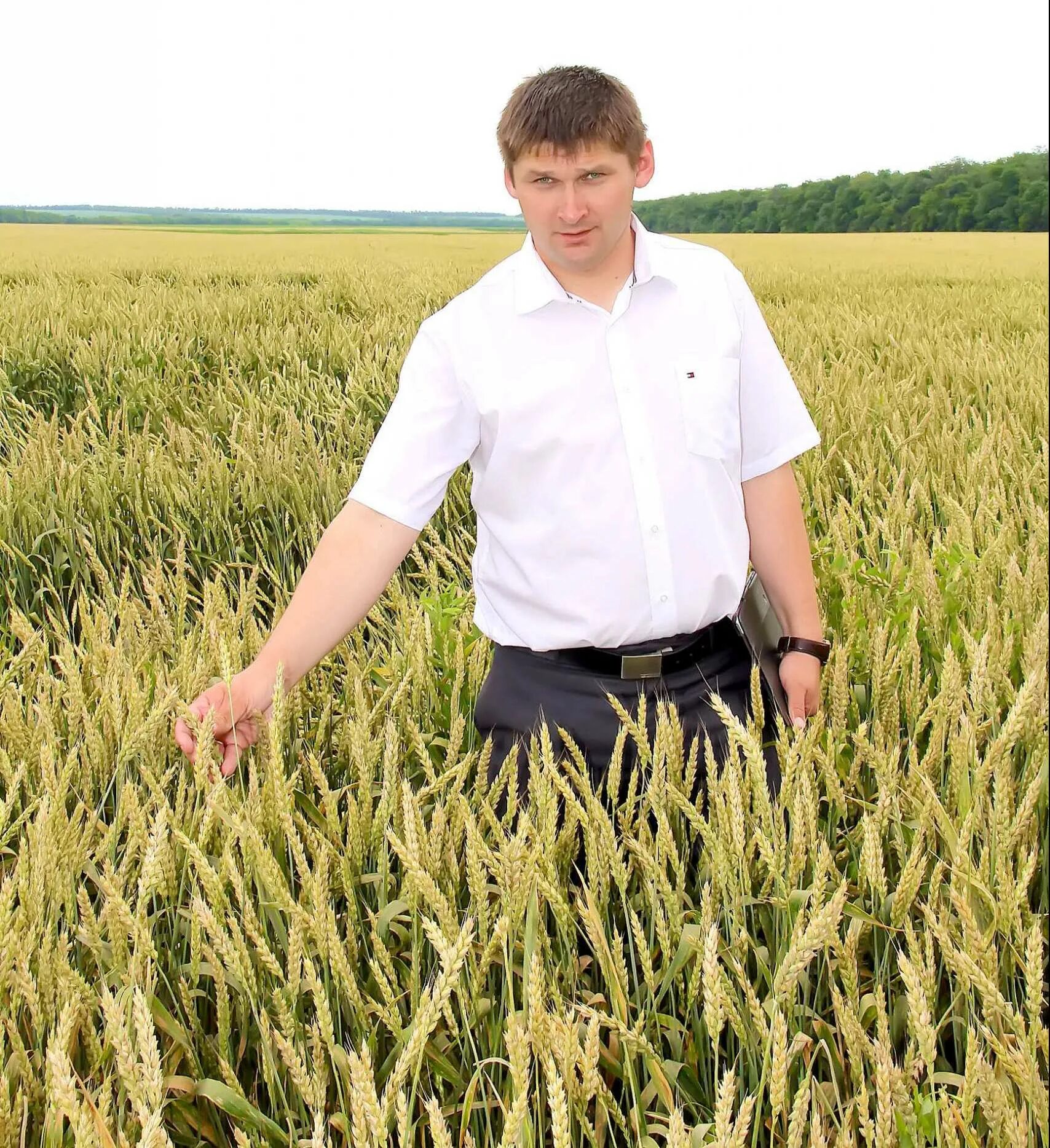 Хозяйство в подворье. Семечка льна фермер центр. Лен фермер. Урожай ленинградская область. Тува кызыл.