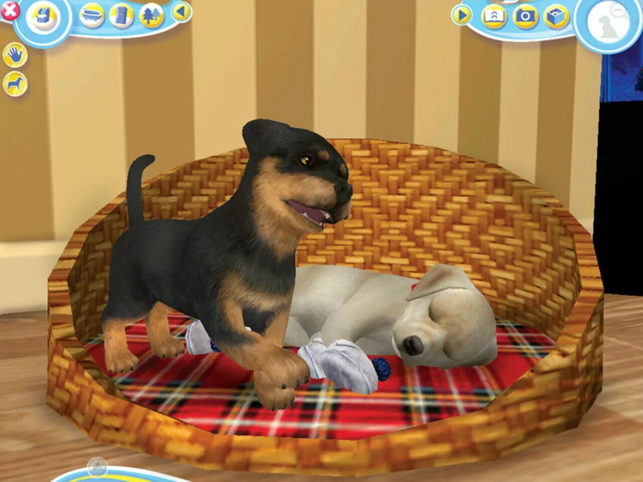 Игра ухаживать за кошкой. Petz Dogz. Игра Dogz 2. Игра Petz Dogz. Petz Catz и Dogz 2.