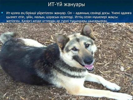 Киім бөлмесінде жалаңаш орыс әншілері