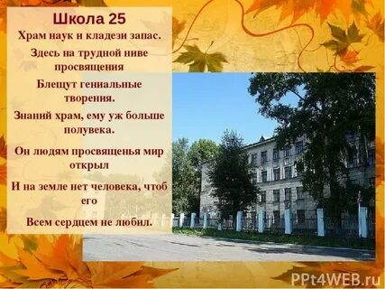 Почему школа называется школой