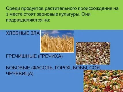 Распределите культуры зерновые технические бобовые