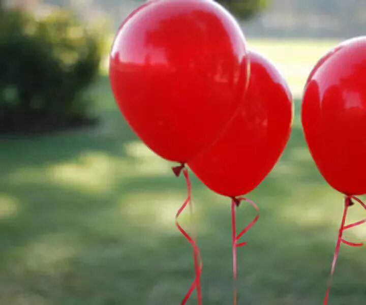 Видео красных шаров. Воздушные шары на природе. Красный шарик. Красные шары. Воздушный шар.