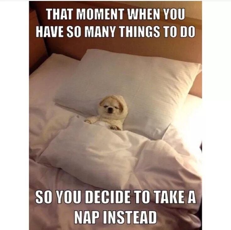 Take a nap перевод