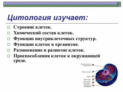 Что изучает строение клетки