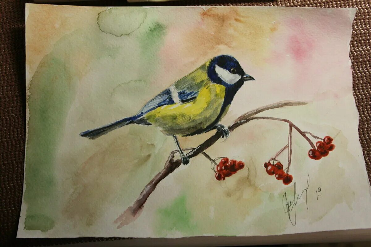 Праздник птиц изо 1. Рисование весенних птиц. Рисование птицы весной. Детские рисунки птиц.