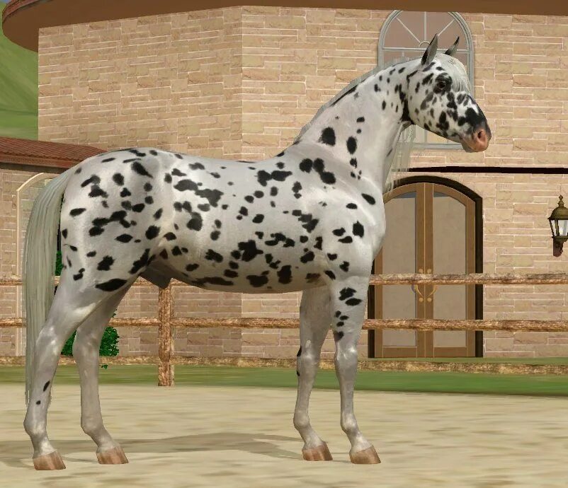 Horse sim. SIMS 3 лошади. Аппалуза лошадь Стар стейбл. Аппалуза Стар стейбл 3. Симс 3 питомцы лошади.