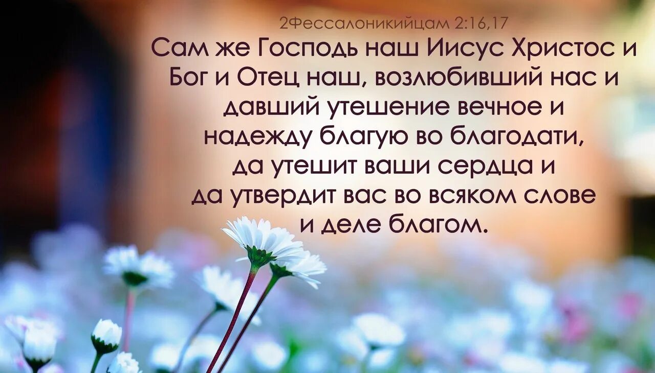 Живите господа песня. Христианские высказывания. Мудрые христианские высказывания. Стихи из Библии с поддержкой. Христианские цитаты в картинках.