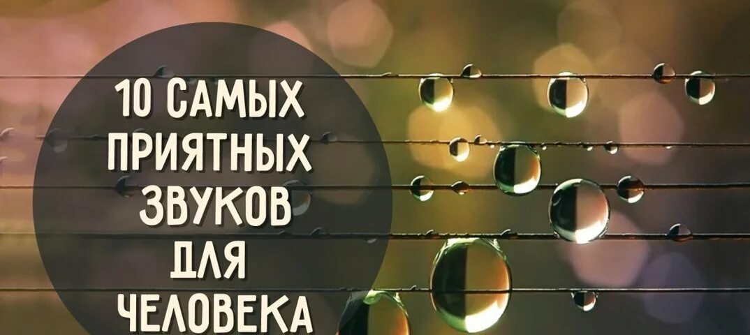 10 Самых приятных звуков для человека. Самый приятный звук для человека. Приятные звуки для человека. Самые приятные звуки для мужчин. Звук чего способен