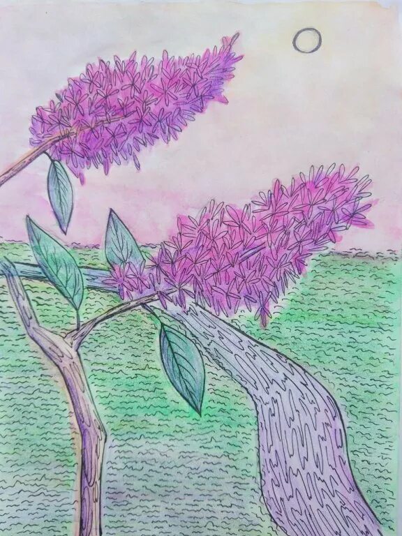 Рисунок черемуха раскраска. Черемуха рисунок. Легкий рисунок черемухи. Легкий рисунок черемухи. Рисование черемухи.