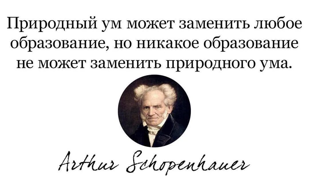 Настойчивость в продажах. Фразы про глупых людей. Ум заменят. Мозг память. Голова с шестеренками.