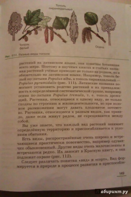 Пасечник многообразие покрытосеменных. Биология 6 класс Пасечник 6 параграф. Книга биология 6 класс Пасечник. Биология 6 класс Пасечник параграф 15. Биология 6 класс Пасечник параграф 25.